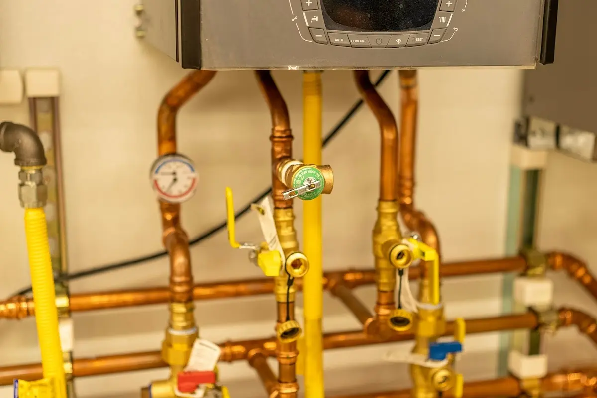 Licensed technician providing Sump Pump Repair for a homeowner in Iona